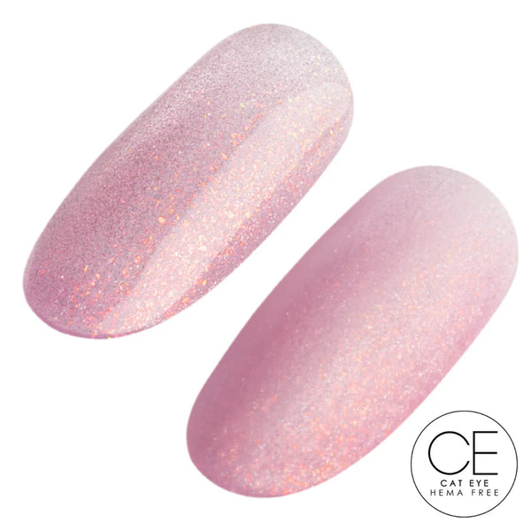 FAIRYTALE - 6pk EXCLUSIVE COLLECTION